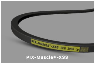 PIX-Muscle XS3