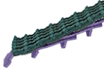 3236.png 3236.png