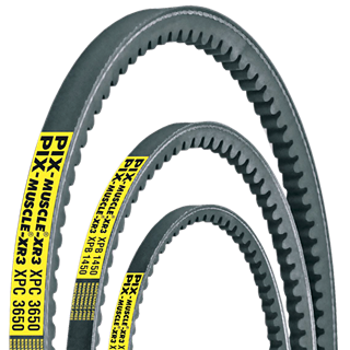 10136_Klinovy-remen-PIX-Muscle-XR3_oblouk.png